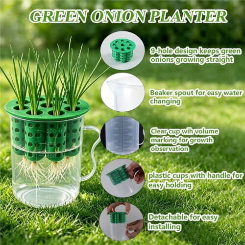 Green Onion Planter Scallion Regrower Sprouting 2 Green Onion Grower Container & 2 Plastic Cup with Handle for Window 1