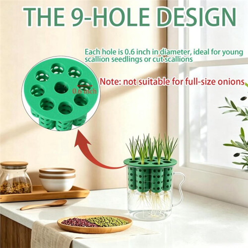 Green Onion Planter Scallion Regrower Sprouting 2 Green Onion Grower Container & 2 Plastic Cup with Handle for Window 2