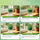 Green Onion Planter Scallion Regrower Sprouting 2 Green Onion Grower Container & 2 Plastic Cup with Handle for Window 4