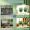 Green Onion Planter Scallion Regrower Sprouting 2 Green Onion Grower Container & 2 Plastic Cup with Handle for Window 5