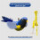 Cat Bird Toy and Catnip - Hanging Teaser for Active  A 4