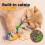 Cat Bird Toy and Catnip - Hanging Teaser for Active  C 6