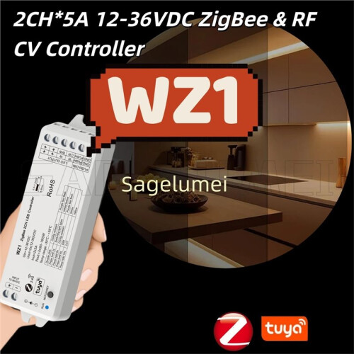 2 Channels for Single Color CCT LED Strip LED Controller WZ1 ZigBee 3.0 & RF 2 CH12-36V Cloud Wireless Remote Control 2