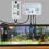 3 In1 Wifi Water Quality Tester PH Salinity Alkalinity Meter BNC Type Probe Analyzer for Aquarium Hydroponics EU Plug 2