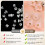 16pcs Earring Backs,  Silicone Earring Backs Replacements,Locking Secure Backs for Studs/Droopy Ears Gold 4