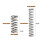 300PCS Compression Springs Assortment Kit 23 Different Sizes Small Spring 304 Stainless Steel Mechanical Springs 6