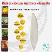 20 Pcs 4.3-5.1'' Cuttlebone for Parakeets Cuttlebone for Birds - Cuttlefish Bone Bulk Chew Toy Bird Bites Calcium Stone