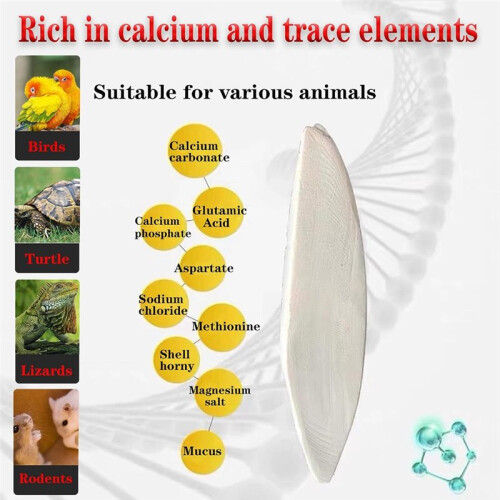20 Pcs 4.3-5.1'' Cuttlebone for Parakeets Cuttlebone for Birds - Cuttlefish Bone Bulk Chew Toy Bird Bites Calcium Stone