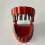 Fake Teeth Drill Bit Holder - Plastic Screwdriver Bit Organizer for Workshop, Garage DIY Tool Storage 3