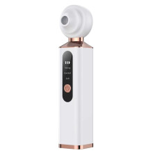 Visuele Poriënreiniger met Mee-Eterverwijderaar voor Het Gezicht, USB-Oplaadbare Mee-Eterzuiger met 3 Opzetstukken