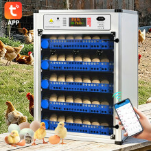 Incubateur automatique pour 340 œufs, Éleveuse électrique double alimentation, Contrôle smartphone et retournement automatique