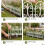 6 Pack Plastic Garden Fence Edging Border Modular Interlocking Plastic Fence Panels White 5