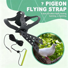 Harnais et Laisse pour Pigeons, Sangles de Traction Anti-Morsure pour le Dressage et le Transport en Extérieur, Réglables