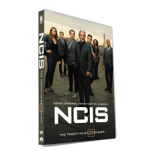 NCIS: Naval Criminal Investigative Service  s23