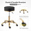 Swivel Chair With Gold-Plated Five-Star Base, Adjustable Black Technician Stool 7