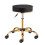 Swivel Chair With Gold-Plated Five-Star Base, Adjustable Black Technician Stool 11