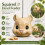 Squirrel Feeder Animal  Squirrel Feeder 3