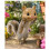 Squirrel Feeder Animal  Squirrel Feeder1 9