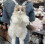 Sac mignon en peluche en forme de chat - Cadeau surprise 1