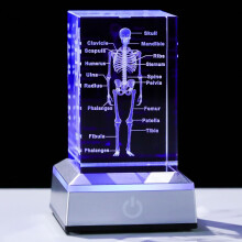 3D kristallen anatomisch model van een menselijk skelet, medische decoratie, cadeau voor artsen, la