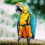 Adjustable Parrot Bird Harness – Anti-Bite Flying Leash Training Rope for Small & Medium Birds 1