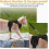 Escape-Proof Cat Harness with Leash, Adjustable Kitten Harness Set, Black, Size S for Small Cats 5