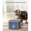 2L Quiet Pet Water Fountain for Cats and Dogs with Replaceable Filter, Gray, Automatic Drinking Dispenser 2