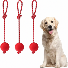 Set van 3 elastische hondenballen met touw, apporteerbal van natuurlijk rubber voor honden, duurzaam, zacht en rekbaar, voor training en beweging va