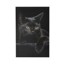 WZVZGZ Puzzle Jigsaw 500 Pièces Chat Noir pour Adultes Enfants - Jouets Éducatifs en Bois
