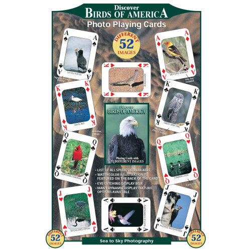 Cartes à Jouer Découverte - Informative & Éducative (Oiseaux d'Amérique)