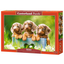 Puzzle Castorland 500 Pièces, Chiens Teckels, Puzzle Animaux, Adultes, Castorland B-53605