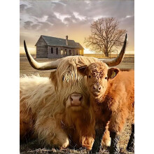 1000 Teile Puzzle, Highland Cow - Flauschige Rinder Wandkunst für Landhausdeko