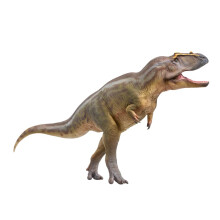 Modèles de dinosaures préhistoriques PNSO : 95 Mayer Le Tameryraptor