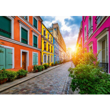 Puzzle Jigsaw Wonder Forge Rue Cremieux Paris 1000 Pièces | Pièces Parfaites | Images Vibrantes | Exclusivité Amazon