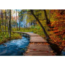 Ravensburger Herbstlicher Holzweg 1000 Teile Puzzle für Erwachsene