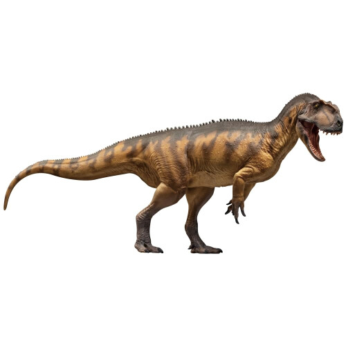 Modelos de Dinosaurios Prehistóricos PNSO (76 Dapeng El Yangchuanosaurus Magnus)