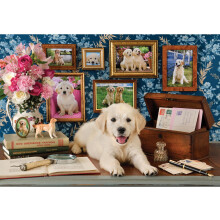 Puzzle Anatolian - Labrador, 500 Pièces, #3637