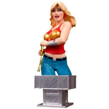DC Universum Frauen: Serie 2: Wonder Girl Büste