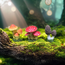 Realistic Miniature Mushroom Decor (Set of 3): Assorted Resin Fungi w/Green Base for Dollhouse Scenery, Bonsai, Terrarium & Craft Supplies