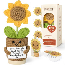 FliipFlaap Regalo Divertente con Girasole all'Uncinetto e 30 Carte di Affermazione Sassy