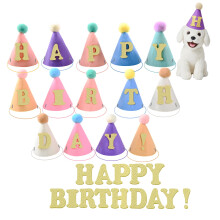 Fiestivo 14pcs Mini Party Hats for Stuffed Animals with Happy Birthday Stickers, Felt Cloth Adjustable Mini Birthday Hats for Dolls Dog Cat Rabbit Pup