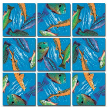 Puzzle Scramble Squares Poissons d'eau douce 9 pièces - Énigme captivante pour enfants, ados et adultes