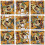 B Dazzle Pirates Scramble Squares 9-delige Puzzel 1