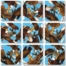 B Dazzle Bald Eagles Scramble Squares 9 Teile Puzzle