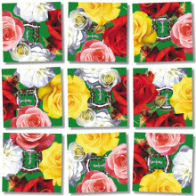 Puzzle B Dazzle Roses en 9 Pièces