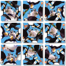 B Dazzle Puffins Scramble Squares 9-delige Puzzel