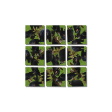 Scramble Squares Black Bears 9-teiliges Puzzle - Ultimatives Gehirnspiel für Jung und Alt