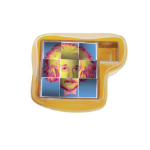 Einstein Puzzel