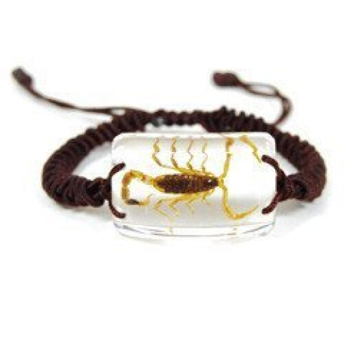 Bracelet Scorpion Or REALBUG, 10 pouces Transparent