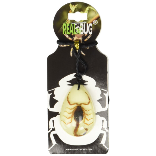 REALBUG Gouden Schorpioen Ketting, Glow in het Donker, Groot